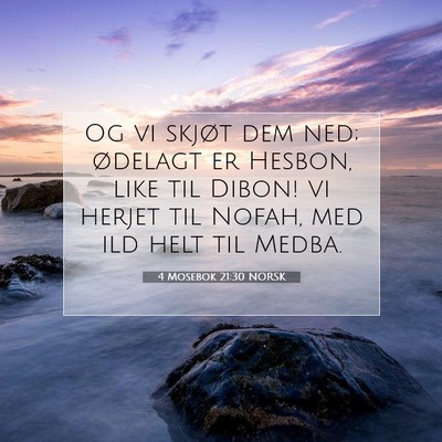 Picture 07 - 4 Mosebok 21:30 NORSK - Og vi skjøt dem ned; ødelagt er Hesbon, like - Bible Verse Picture