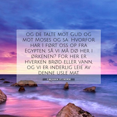 Picture 07 - 4 Mosebok 21:5 NORSK - og de talte mot Gud og mot Moses og sa: Hvorfor - Bible Verse Picture