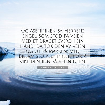 Picture 07 - 4 Mosebok 22:23 NORSK - Og aseninnen så Herrens engel, som stod på - Bible Verse Picture