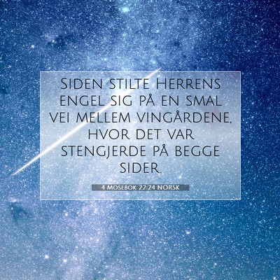 Picture 07 - 4 Mosebok 22:24 NORSK - Siden stilte Herrens engel sig på en smal vei - Bible Verse Picture