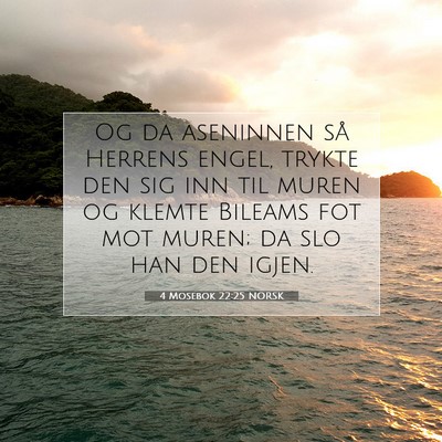 Picture 07 - 4 Mosebok 22:25 NORSK - Og da aseninnen så Herrens engel, trykte den sig - Bible Verse Picture