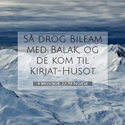 Picture 07 - 4 Mosebok 22:39 NORSK - Så drog Bileam med Balak, og de kom til - Bible Verse Picture