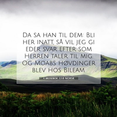 Picture 07 - 4 Mosebok 22:8 NORSK - Da sa han til dem: Bli her inatt, så vil jeg gi - Bible Verse Picture
