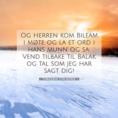 Picture 07 - 4 Mosebok 23:16 NORSK - Og Herren kom Bileam i møte og la et ord i hans - Bible Verse Picture