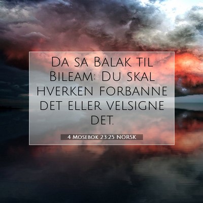 Picture 07 - 4 Mosebok 23:25 NORSK - Da sa Balak til Bileam: Du skal hverken forbanne - Bible Verse Picture