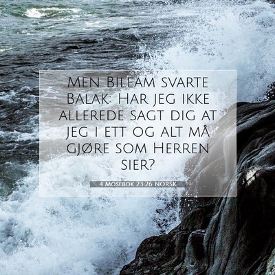 Picture 07 - 4 Mosebok 23:26 NORSK - Men Bileam svarte Balak: Har jeg ikke allerede - Bible Verse Picture