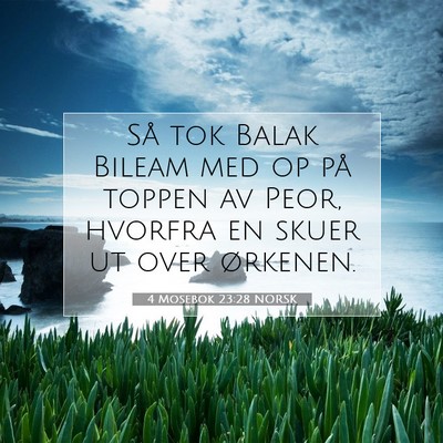 Picture 07 - 4 Mosebok 23:28 NORSK - Så tok Balak Bileam med op på toppen av Peor, - Bible Verse Picture