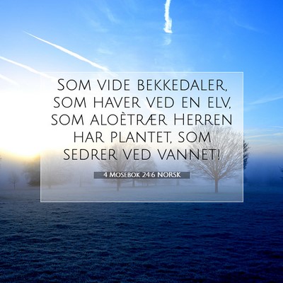 Picture 07 - 4 Mosebok 24:6 NORSK - Som vide bekkedaler, som haver ved en elv, som - Bible Verse Picture