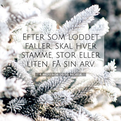 Picture 07 - 4 Mosebok 26:56 NORSK - Efter som loddet faller, skal hver stamme, stor - Bible Verse Picture
