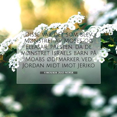 Picture 07 - 4 Mosebok 26:63 NORSK - Disse var det som blev mønstret av Moses og - Bible Verse Picture