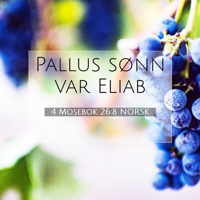 Picture 07 - 4 Mosebok 26:8 NORSK - Pallus sønn var - Bible Verse Picture