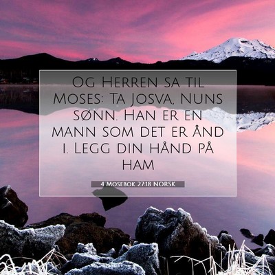Picture 07 - 4 Mosebok 27:18 NORSK - Og Herren sa til Moses: Ta Josva, Nuns sønn. Han - Bible Verse Picture