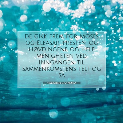 Picture 07 - 4 Mosebok 27:2 NORSK - de gikk frem for Moses og Eleasar, presten, og - Bible Verse Picture