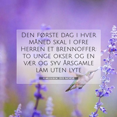 Picture 07 - 4 Mosebok 28:11 NORSK - Den første dag i hver måned skal I ofre Herren - Bible Verse Picture