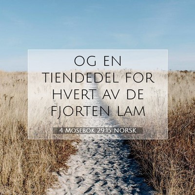 Picture 07 - 4 Mosebok 29:15 NORSK - og en tiendedel for hvert av de fjorten - Bible Verse Picture