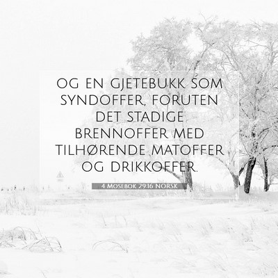 Picture 07 - 4 Mosebok 29:16 NORSK - og en gjetebukk som syndoffer, foruten det - Bible Verse Picture