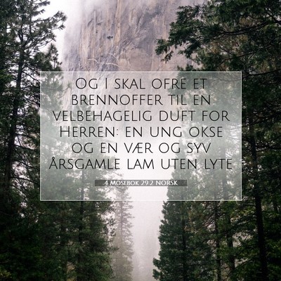 Picture 07 - 4 Mosebok 29:2 NORSK - Og I skal ofre et brennoffer til en velbehagelig - Bible Verse Picture