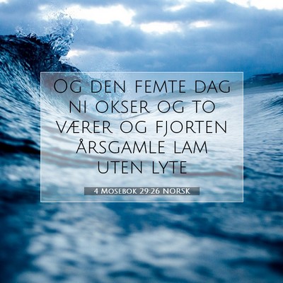 Picture 07 - 4 Mosebok 29:26 NORSK - Og den femte dag ni okser og to værer og fjorten - Bible Verse Picture