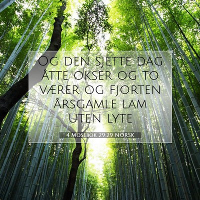 Picture 07 - 4 Mosebok 29:29 NORSK - Og den sjette dag åtte okser og to værer og - Bible Verse Picture
