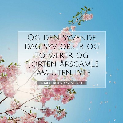 Picture 07 - 4 Mosebok 29:32 NORSK - Og den syvende dag syv okser og to værer og - Bible Verse Picture