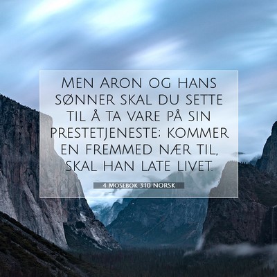 Picture 07 - 4 Mosebok 3:10 NORSK - Men Aron og hans sønner skal du sette til å ta - Bible Verse Picture