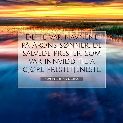 Picture 07 - 4 Mosebok 3:3 NORSK - Dette var navnene på Arons sønner, de salvede - Bible Verse Picture