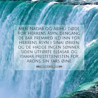 Picture 07 - 4 Mosebok 3:4 NORSK - Men Nadab og Abihu døde for Herrens åsyn, - Bible Verse Picture