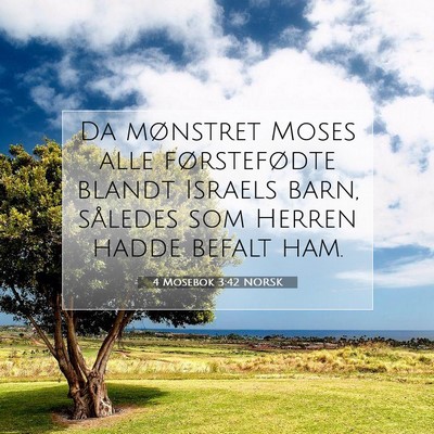 Picture 07 - 4 Mosebok 3:42 NORSK - Da mønstret Moses alle førstefødte blandt - Bible Verse Picture