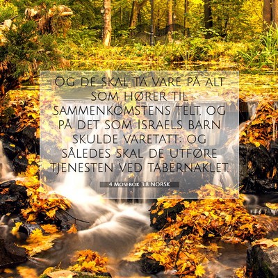 Picture 07 - 4 Mosebok 3:8 NORSK - Og de skal ta vare på alt som hører til - Bible Verse Picture