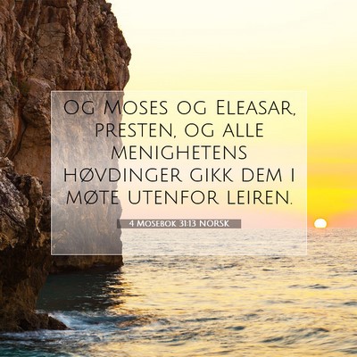 Picture 07 - 4 Mosebok 31:13 NORSK - Og Moses og Eleasar, presten, og alle menighetens - Bible Verse Picture