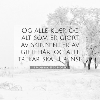 Picture 07 - 4 Mosebok 31:20 NORSK - Og alle klær og alt som er gjort av skinn eller - Bible Verse Picture