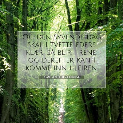 Picture 07 - 4 Mosebok 31:24 NORSK - Og den syvende dag skal I tvette eders klær, så - Bible Verse Picture