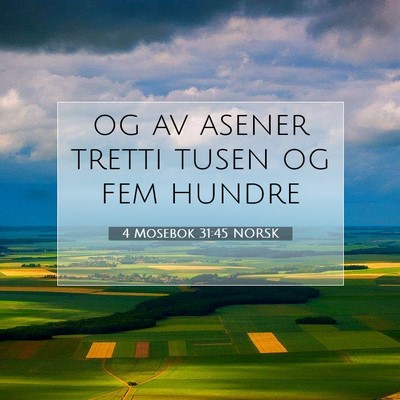 Picture 07 - 4 Mosebok 31:45 NORSK - og av asener tretti tusen og fem - Bible Verse Picture