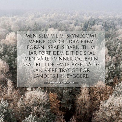 Picture 07 - 4 Mosebok 32:17 NORSK - men selv vil vi skyndsomt væbne oss og dra frem - Bible Verse Picture
