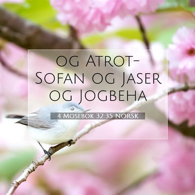 Picture 07 - 4 Mosebok 32:35 NORSK - og Atrot-Sofan og Jaser og - Bible Verse Picture