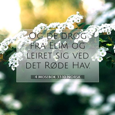 Picture 07 - 4 Mosebok 33:10 NORSK - Og de drog fra Elim og leiret sig ved det Røde - Bible Verse Picture