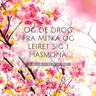 Picture 07 - 4 Mosebok 33:29 NORSK - Og de drog fra Mitka og leiret sig i - Bible Verse Picture