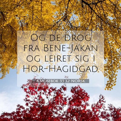Picture 07 - 4 Mosebok 33:32 NORSK - Og de drog fra Bene-Ja'kan og leiret sig i - Bible Verse Picture