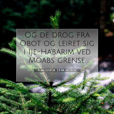 Picture 07 - 4 Mosebok 33:44 NORSK - Og de drog fra Obot og leiret sig i Ije-Ha'barim - Bible Verse Picture