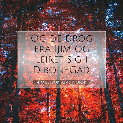 Picture 07 - 4 Mosebok 33:45 NORSK - Og de drog fra Ijim og leiret sig i - Bible Verse Picture