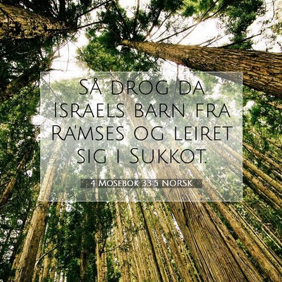 Picture 07 - 4 Mosebok 33:5 NORSK - Så drog da Israels barn fra Ra'mses og leiret - Bible Verse Picture