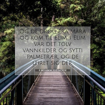 Picture 07 - 4 Mosebok 33:9 NORSK - Og de drog fra Mara og kom til Elim. I Elim var - Bible Verse Picture