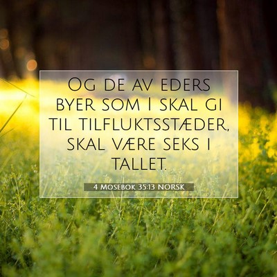 Picture 07 - 4 Mosebok 35:13 NORSK - Og de av eders byer som I skal gi til - Bible Verse Picture