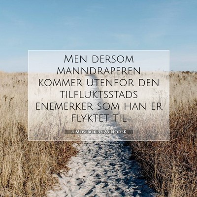 Picture 07 - 4 Mosebok 35:26 NORSK - Men dersom manndraperen kommer utenfor den - Bible Verse Picture