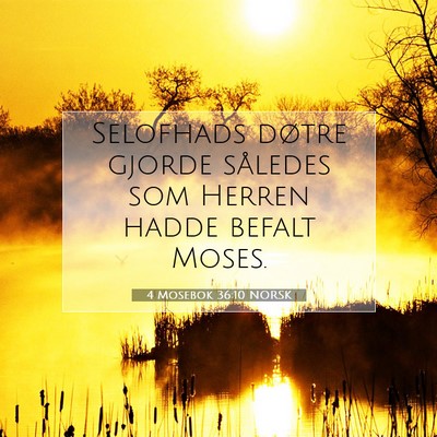 Picture 07 - 4 Mosebok 36:10 NORSK - Selofhads døtre gjorde således som Herren hadde - Bible Verse Picture
