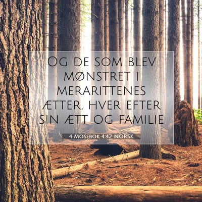 Picture 07 - 4 Mosebok 4:42 NORSK - Og de som blev mønstret i merarittenes ætter, - Bible Verse Picture