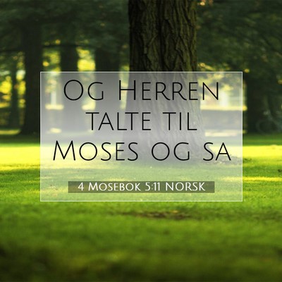 Picture 07 - 4 Mosebok 5:11 NORSK - Og Herren talte til Moses og - Bible Verse Picture