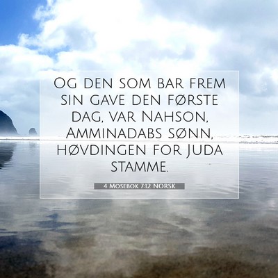 Picture 07 - 4 Mosebok 7:12 NORSK - Og den som bar frem sin gave den første dag, var - Bible Verse Picture