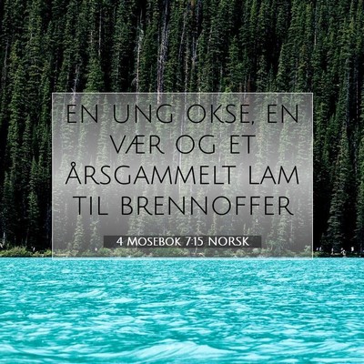 Picture 07 - 4 Mosebok 7:15 NORSK - en ung okse, en vær og et årsgammelt lam til - Bible Verse Picture