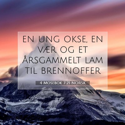 Picture 07 - 4 Mosebok 7:21 NORSK - en ung okse, en vær og et årsgammelt lam til - Bible Verse Picture